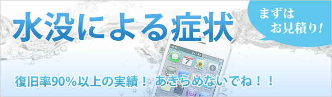 水没による症状